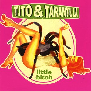 Image for 'Little Bitch'