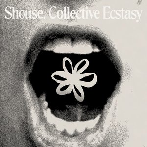Immagine per 'Collective Ecstasy'