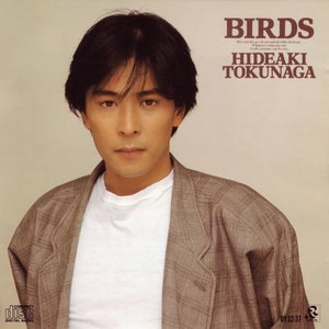 “Birds”的封面