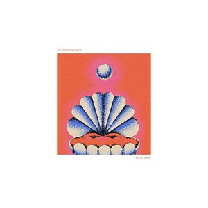 Image for 'QUATTROVALVOLE'