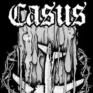 Immagine per 'Casus'