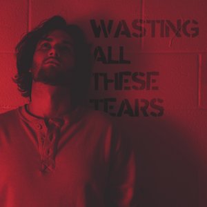 Image for 'Wasting All These Tears'