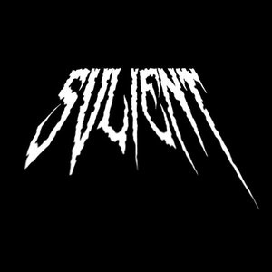 “svlient”的封面