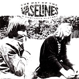 Bild för 'The Way Of The Vaselines - A Complete History'