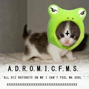 Image for 'A.D.R.O.M.I.C.F.M.S'