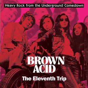 Image for 'Brown Acid - The Eleventh Trip'