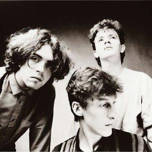 “The Icicle Works”的封面