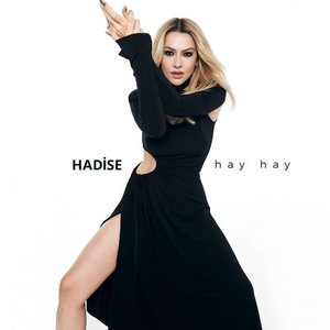 Image for 'Hay Hay'