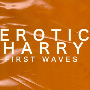 “Erotic Harry”的封面