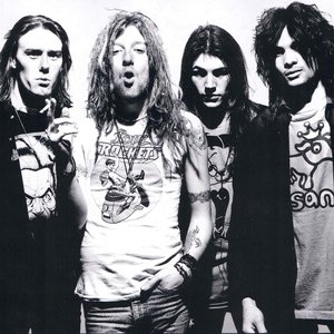 Immagine per 'The Wildhearts'