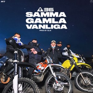 Image for 'Samma gamla vanliga'