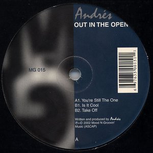 Image for 'Out In The Open'