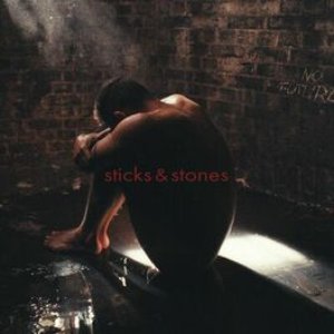 Image for 'Sticks & Stones'
