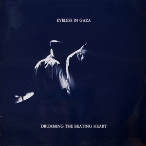 Image for 'drumming the beating heart'
