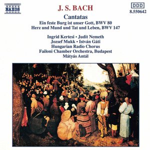 Image for 'BACH, J.S.: Cantatas, BWV 80 and 147'