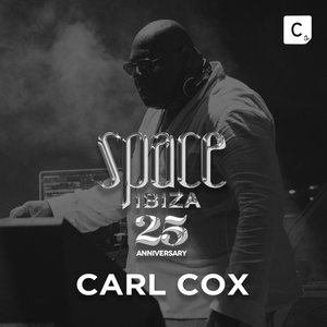 Image for 'Space Ibiza 25 (DJ Mix)'