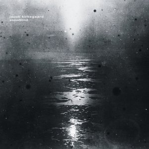 “snowblind”的封面