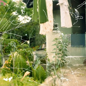 Image for 'Quintal'