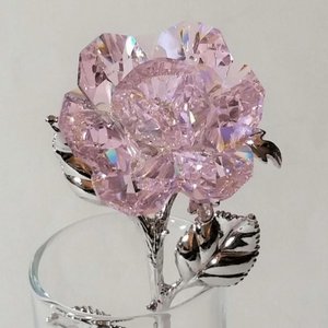 “Diamondz n Roses”的封面