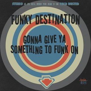 “Gonna Give Ya Something To Funk On”的封面