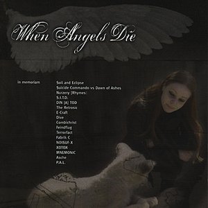 Image pour 'When Angels Die - A Benefit Compilation'