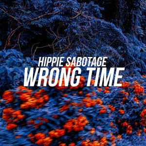 Image for 'Wrong Time'