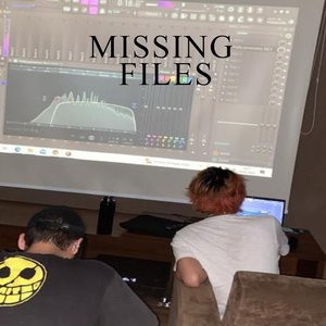 Image for 'Missing Files'