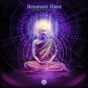 “Resonant Mind”的封面