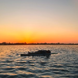 Image for 'The Sun Comes Up Tremendous'