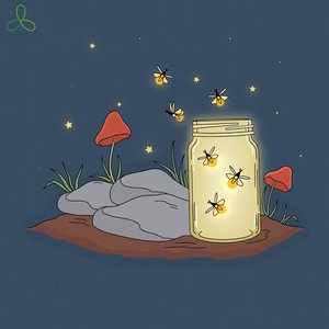 Изображение для 'Fireflies'