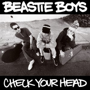 “Check Your Head”的封面