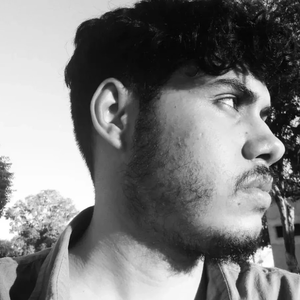 bleonardu