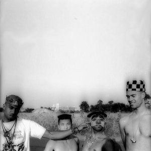“The Beatnigs”的封面