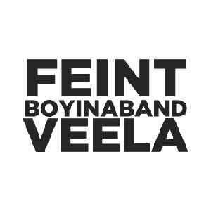 Image pour 'Feint & Boyinaband feat. Veela'