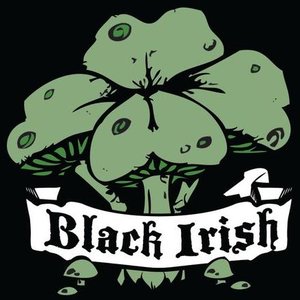 Image for 'Black Irish'