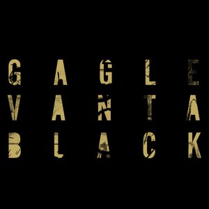 Image for 'VANTA BLACK'