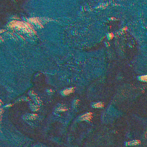 InviteTheWalls