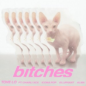 Image for 'Bitches - Single'
