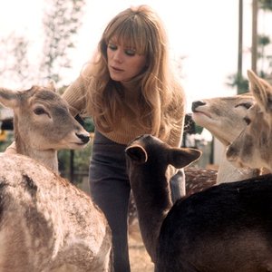 Zdjęcia dla 'Jackie DeShannon'