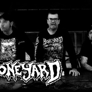 Imagem de 'Boneyard'