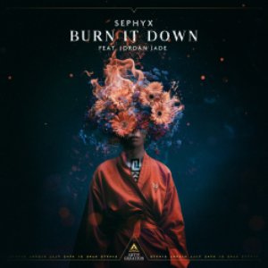 Image for 'Burn It Down (feat. Jordan Jade)'
