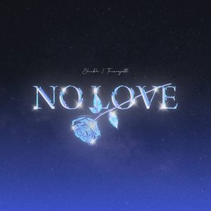Bild för 'No Love'