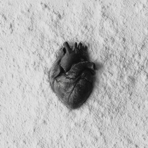 Image for 'Cyanide'