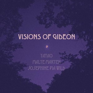 Image pour 'Visions of Gideon'