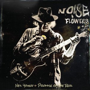 Image for 'Noise And Flowers'