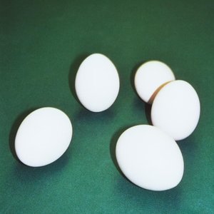 Image for 'FIVE EGGS'