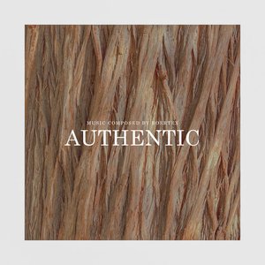 Image for 'Authentic'