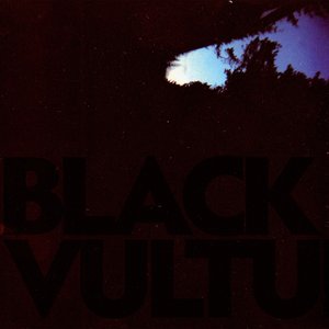 'Black Vultures'の画像