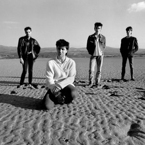 “The Chameleons”的封面