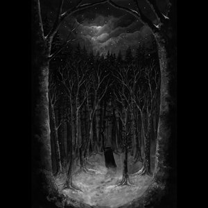 Bild für 'Im Wald'